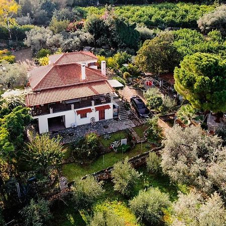 Villa Eirini With Sea View Dhriopi  Εξωτερικό φωτογραφία