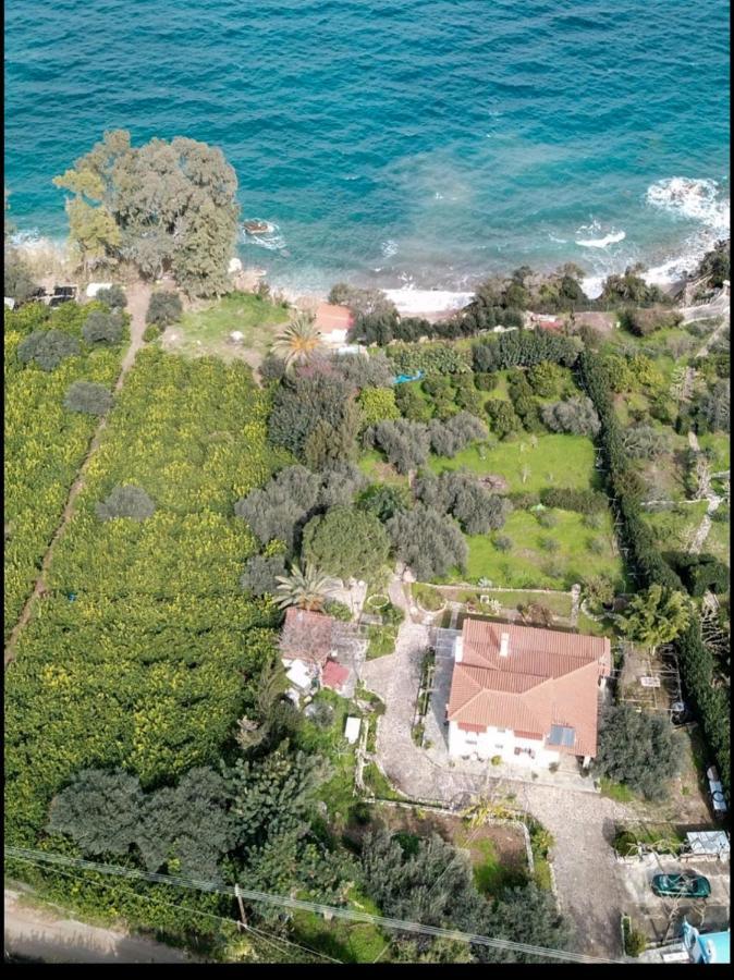 Villa Eirini With Sea View Dhriopi  Εξωτερικό φωτογραφία