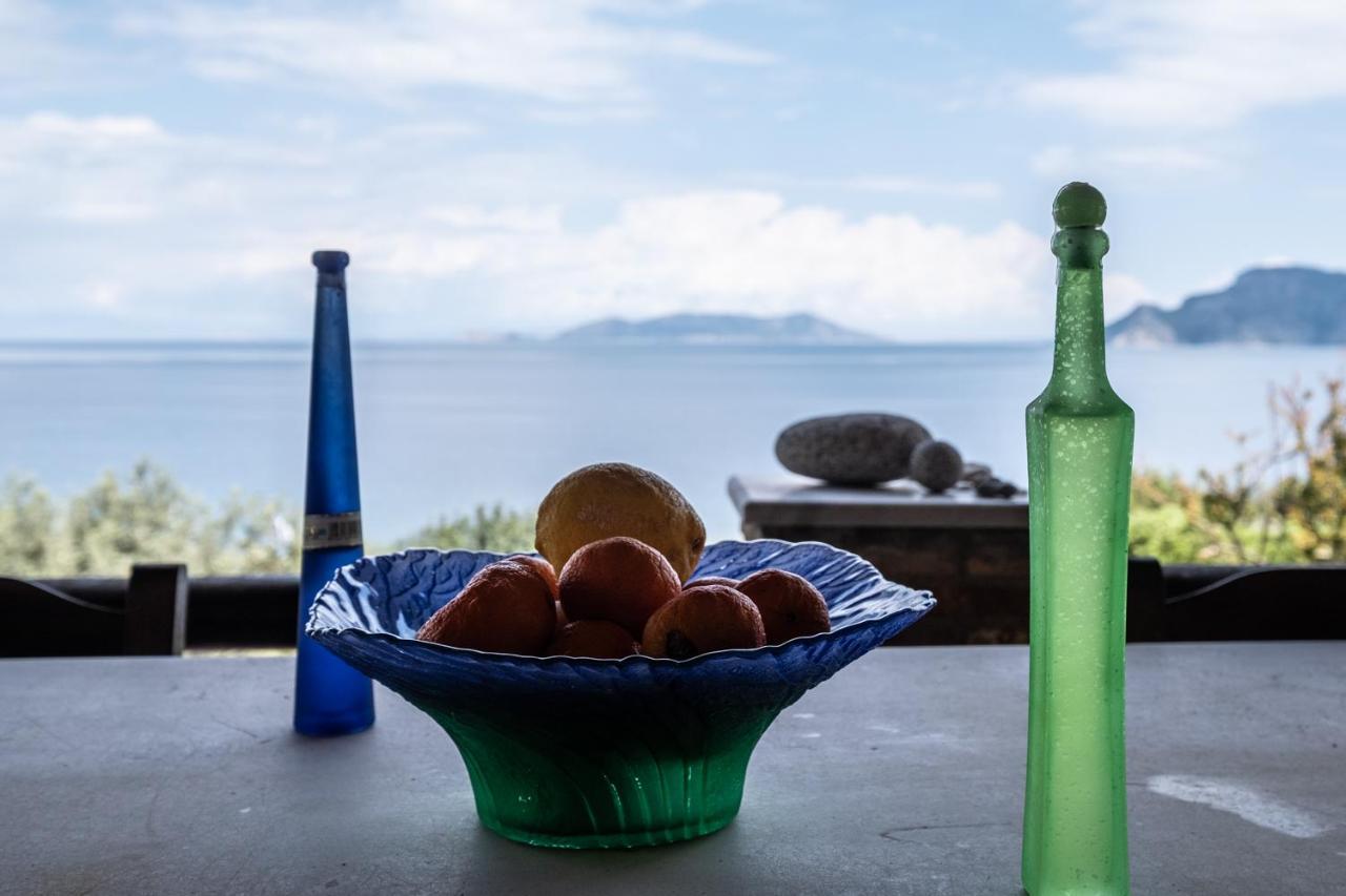 Villa Eirini With Sea View Dhriopi  Εξωτερικό φωτογραφία