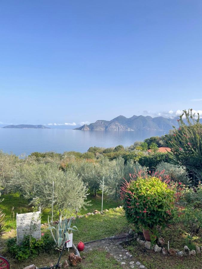 Villa Eirini With Sea View Dhriopi  Εξωτερικό φωτογραφία